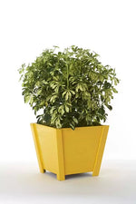 Rust Oleum Esmalte ultra cover Amarillo Oro brillante 430 Ml