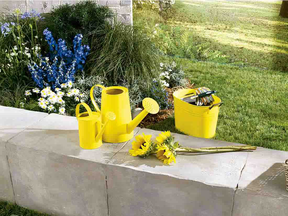 Texto alternativo predeterminado