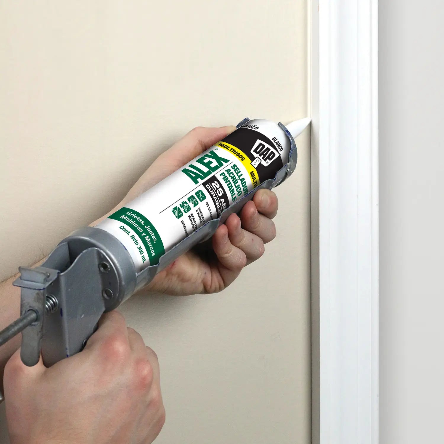 Texto alternativo de imagen