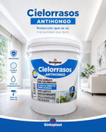 Sinteplast Cielorraso Antihongos Directo Sobre Hongo 4L