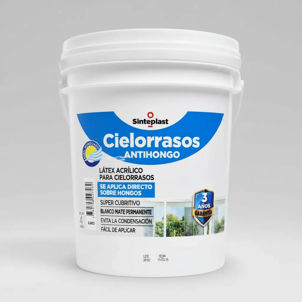 Sinteplast Cielorraso Antihongos Directo Sobre Hongo 4L