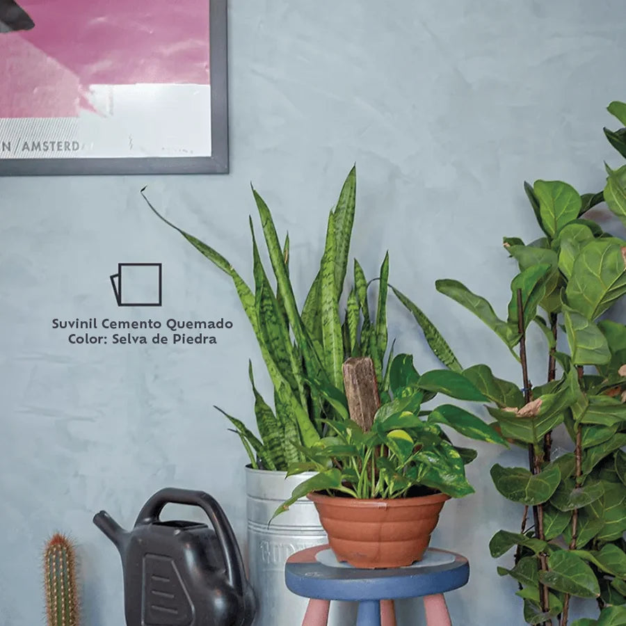 Texto alternativo de imagen