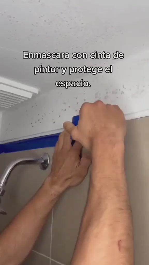 Zinsser Primer eliminador de Hongos 0.946 Lt